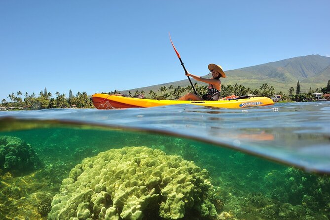 Turtle Reef Kayak Tour of Makena, Maui - What’s included (and why it matters more than you think)