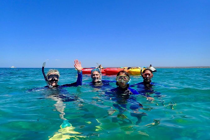 Turtle Tour - Ningaloo Reef Half Day Sea Kayak and Snorkel Tour - Key things to know before you go