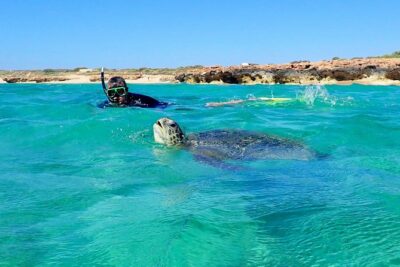 Turtle Tour - Ningaloo Reef Half Day Sea Kayak and Snorkel Tour - Kayaking Ningaloo’s nursery waters for turtles and rays