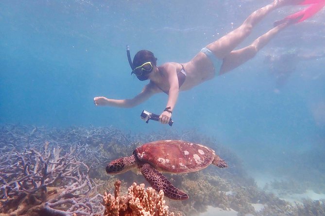 Turtle Tour - Ningaloo Reef Half Day Sea Kayak and Snorkel Tour - Timing and what a half-day really means on the water