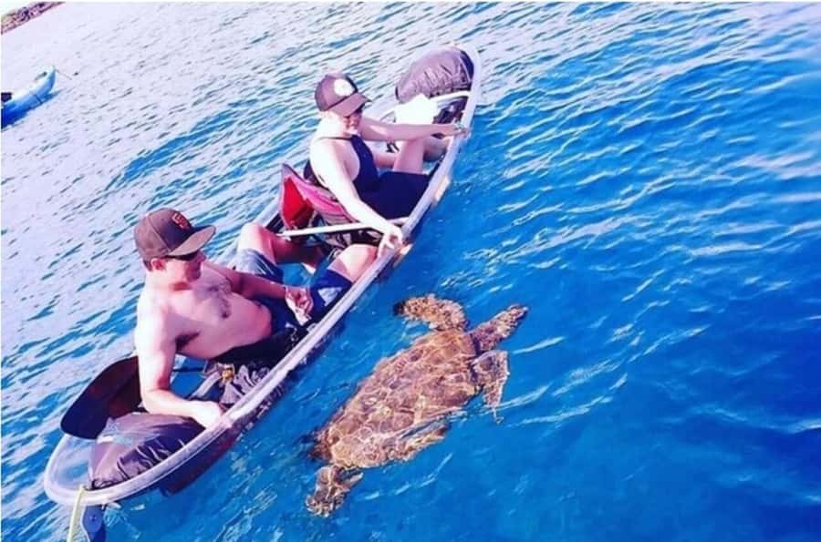 Turtle Town, Makena; Clear Bottom Kayak and Snorkel Tour - What I Like About the Guidance: Safety, Snorkel Support, and Names You Might Hear