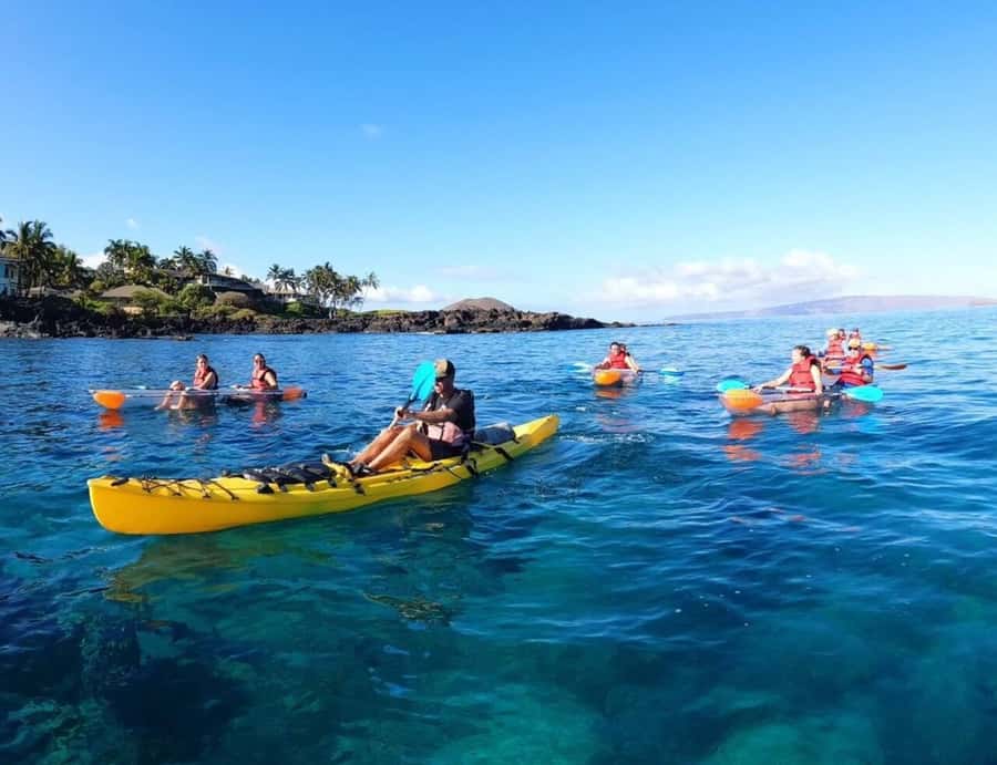 Turtle Town, Makena; Clear Bottom Kayak and Snorkel Tour - Price and Value: Is $130 a Good Deal for a 3-Hour Guided Ocean Experience?