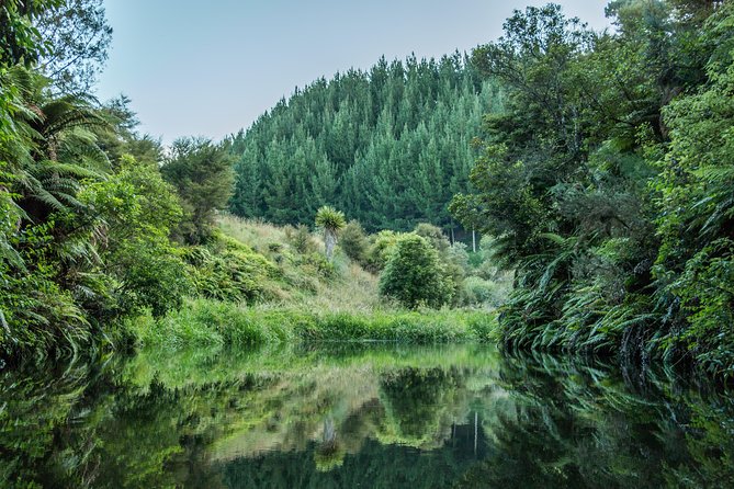 Twilight Glowworm Kayak Tour – Lake Karapiro - Dusk Timing on Lake Karapiro: when the trip turns magical