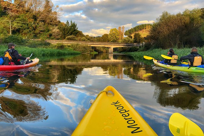 Twilight Glowworm Kayak Tour – Lake Karapiro - How the Glowworms Work: why you see more than you expect