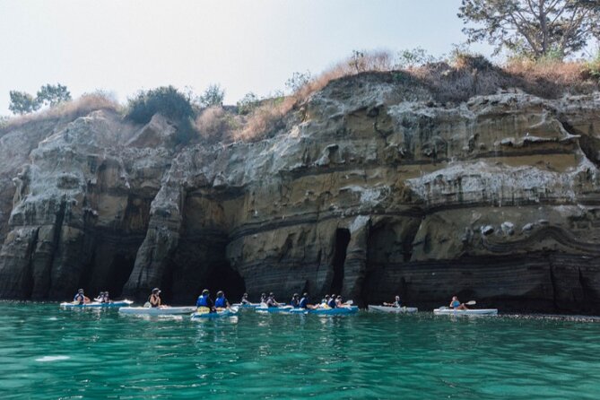 Two Hour Kayak and Snorkel Tour for Two in La Jolla - Price and value: what $159 per group really covers (and what can add up)