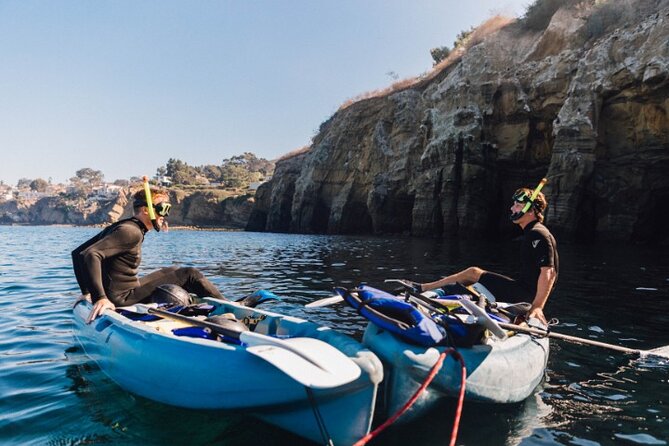 Two Hour Kayak and Snorkel Tour for Two in La Jolla - La Jolla Cove wildlife: sea lions, Garibaldi, and photo-friendly moments