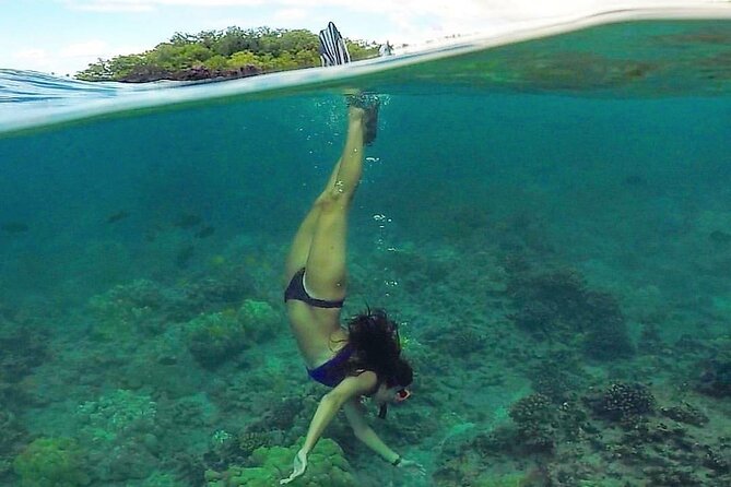 Ultimate Maui Kayak Snorkel Experience - When snorkeling doesn’t go as planned, the guide still delivers