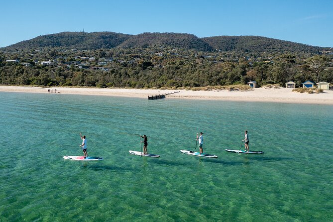Ultimate Peninsula Adventure: Stand Up Paddle, Hot Springs, Hike, Lunch & Winery - Key things to know before you go