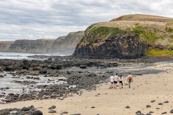 Ultimate Peninsula Adventure: Stand Up Paddle, Hot Springs, Hike, Lunch & Winery - The coastal bushwalk and rock pools section
