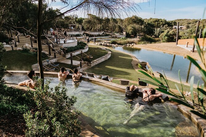 Ultimate Peninsula Adventure: Stand Up Paddle, Hot Springs, Hike, Lunch & Winery - Winery picnic lunch, coffee/tea, and Kerri Greens stops