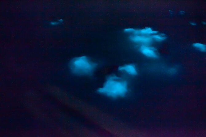 Unforgettable One Day Bioluminescent Kayak Adventure in Vieques - Mosquito Bay in Vieques: what makes the glow so special