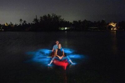 Unforgettable One Day Bioluminescent Kayak Adventure in Vieques - What you’ll do during your 1.5 hours on the water
