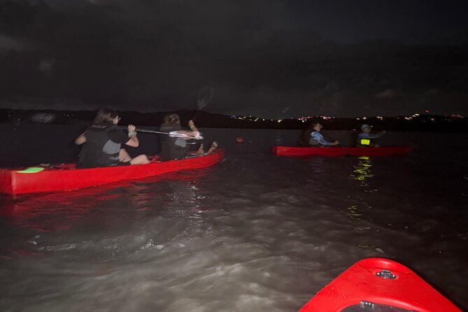 Unforgettable One Day Bioluminescent Kayak Adventure in Vieques - Ferry timing from Puerto Rico: how to avoid the end-of-day scramble
