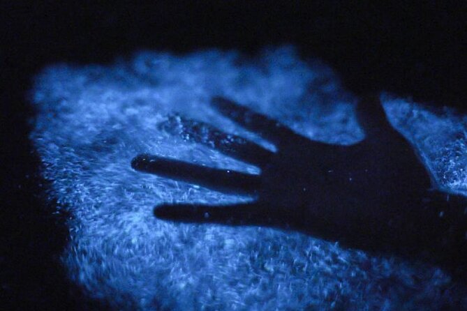 Unforgettable One Day Bioluminescent Kayak Adventure in Vieques - Family-friendly paddling and who this suits best