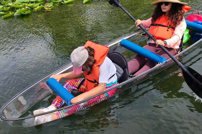 Urban Clear Kayak or Paddleboard in Paradise: Morning/Night - Wildlife on Lake Ivanhoe: What You’ll See and What You Should Not Expect