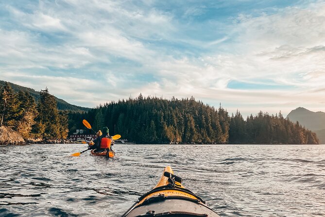 Vancouver Island: Half-Day Kayak Tour from Telegraph Cove - Key highlights worth knowing