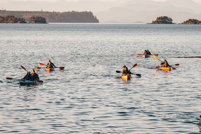 Vancouver Island: Half-Day Kayak Tour from Telegraph Cove - Telegraph Cove and Johnstone Strait: why this area works for sea kayaking