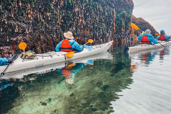 Vancouver Island: Half-Day Kayak Tour from Telegraph Cove - Wildlife spotting that feels respectful, not staged