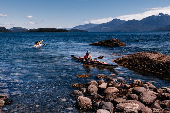 Vancouver Island: Half-Day Kayak Tour from Telegraph Cove - Price and value: is $128.87 a fair deal for 5 hours?