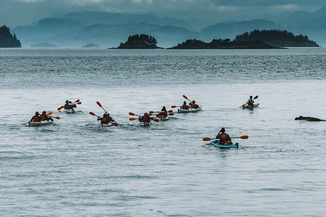 Vancouver Island: Half-Day Kayak Tour from Telegraph Cove - Equipment, dry bags, and what you should pack (and what you can skip)