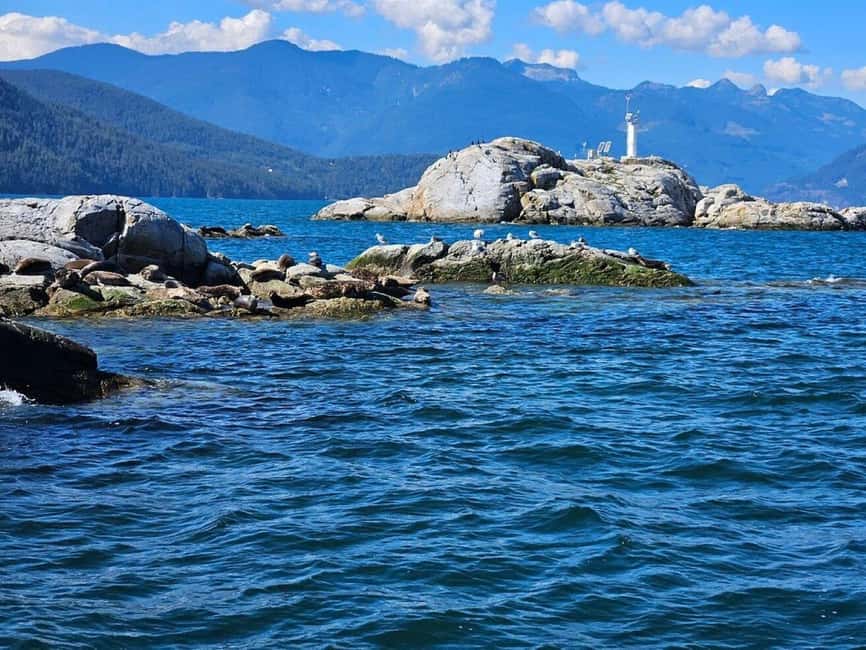 Vancouver: Snorkel, Kayak, and Seal Adventure Boat Tour - Pam Rocks: How Harbor Seals Become the Star of Your Day