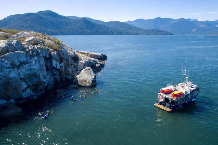 Vancouver: Snorkel, Kayak, and Seal Adventure Boat Tour - Should You Book This Seal Adventure Boat Tour?