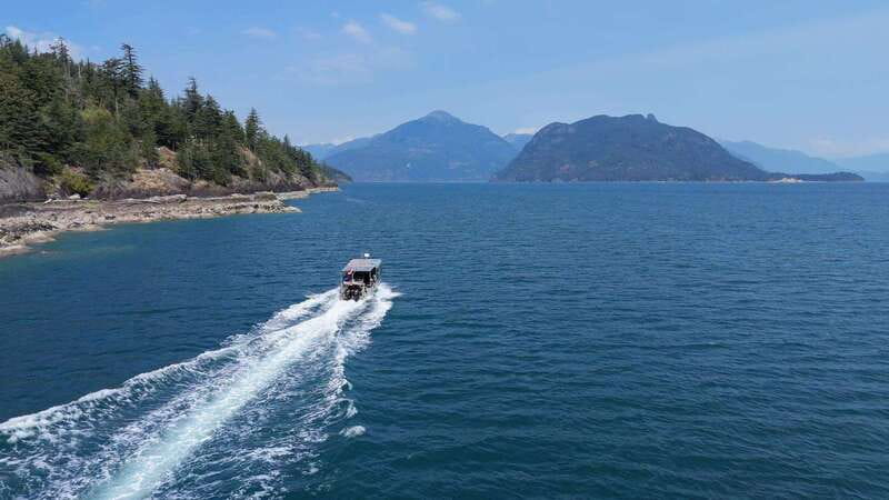 Vancouver: Snorkeling Seals Kayaking Scenic Boat Tour - The 3-hour flow: boat ride, water time, and how it stays manageable