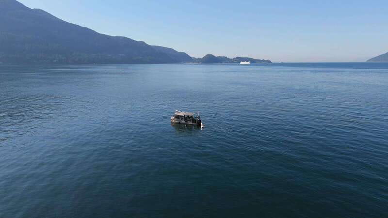 Vancouver: Snorkeling Seals Kayaking Scenic Boat Tour - Price and value: what $66.72 buys you in the real world