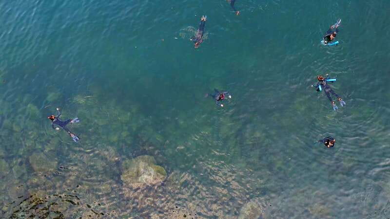 Vancouver: Snorkeling Seals Kayaking Scenic Boat Tour - What to bring (and what to skip)