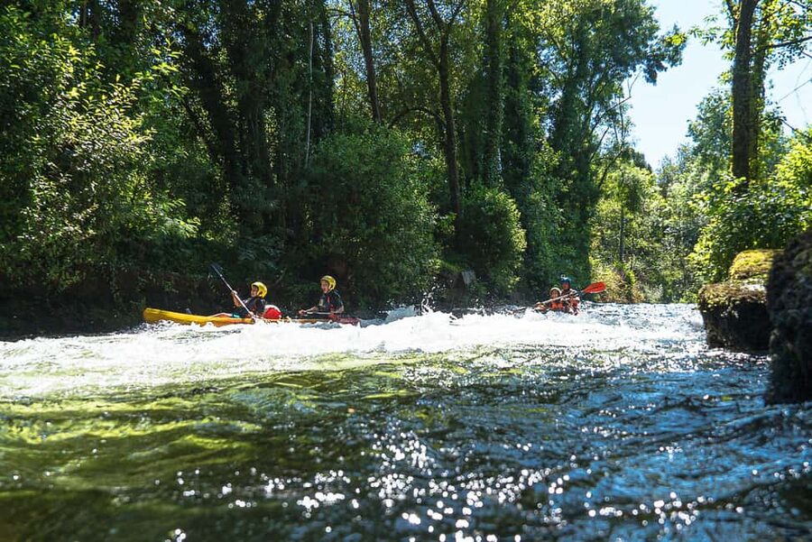 Viana do Castelo: Kayak Tour at Lima River - Who this kayak tour fits best (and who should skip it)