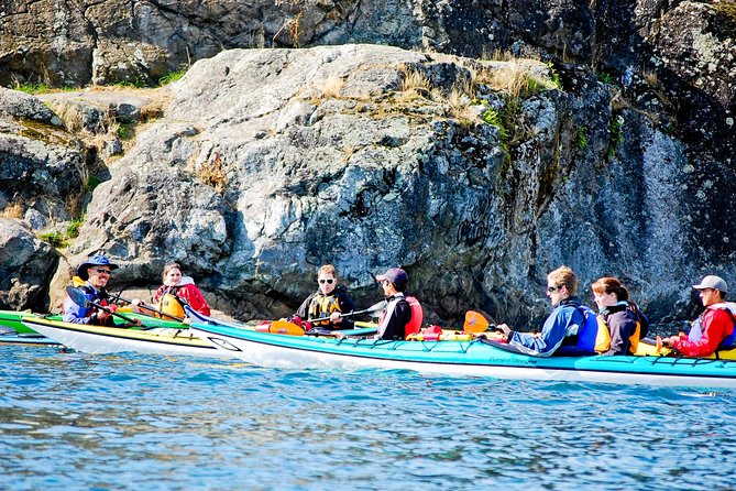 Victoria Harbour Kayak Tour - Your paddling plan: what you do for 2.5 hours