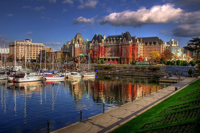 Victoria Harbour Kayak Tour - Effort level: who should book and who should rethink it