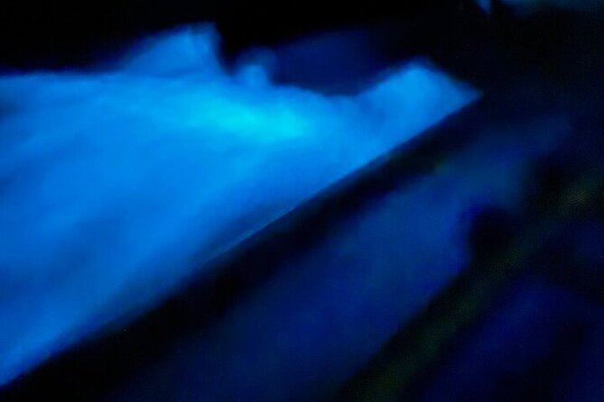 Vieques island Biobay Kayaking Tour - Vieques Mosquito Bay: the night-sky feeling you get from below