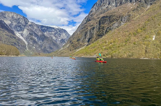 Vossevangen: Nærøyfjord Full-Day Guided Kayaking Trip - Price and value: is $185.65 worth it?