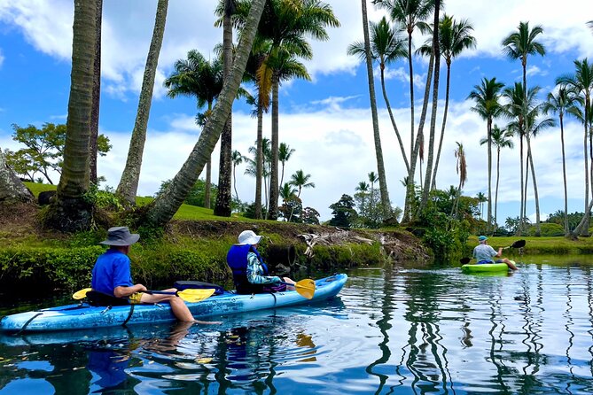 Wailoa River to King Kamehameha Statue Kayak Adventure - Tree Shade, Birds, and the Water-Life Chances You Actually Want