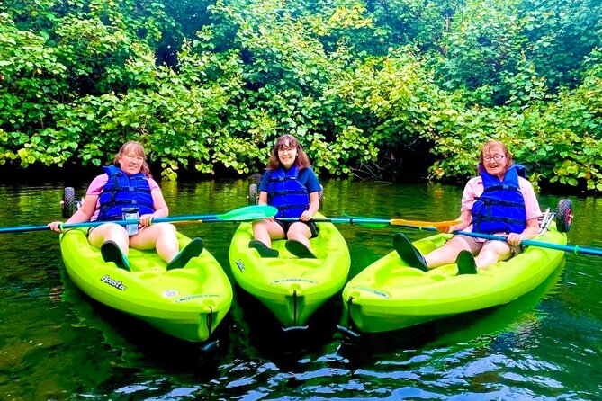 Wailoa River to King Kamehameha Statue Kayak Adventure - Japanese Bridges to the King Kamehameha Statue Break