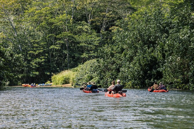 Wailua River Kayak, Hike & Waterfall Picnic by Outfitters Kauai - Wailua River kayak route: why this day hits differently than a beach outing