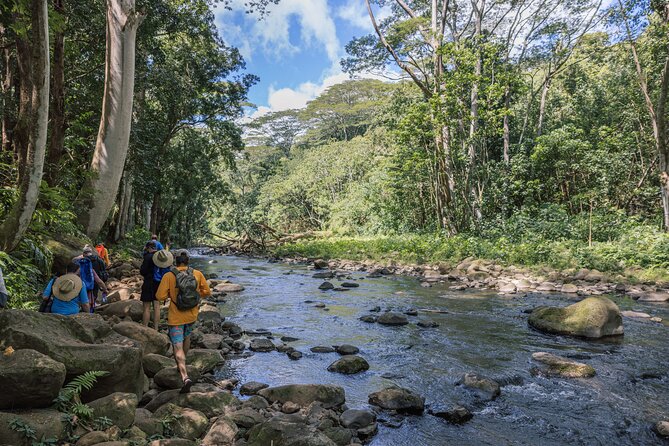 Wailua River Kayak, Hike & Waterfall Picnic by Outfitters Kauai - Booking advice: make sure you’re choosing the right kind of day