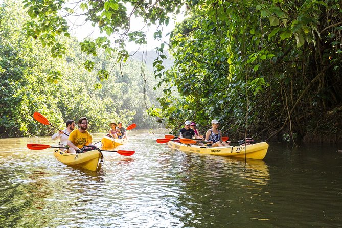 Wailua River Paddle - What the Wailua River Paddle is really good for