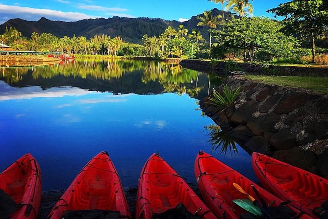 Wailua River & Waterfalls Kayak Tour: Expert-Guided Adventure - Wailua River kayak time: why this route feels special