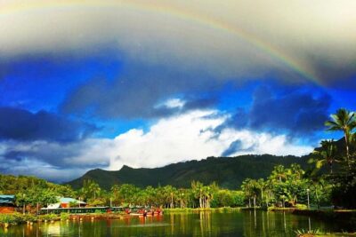 Wailua River & Waterfalls Kayak Tour: Expert-Guided Adventure - The paddle-to-hike flow: what happens before Secret Falls