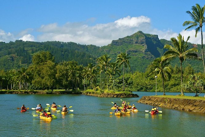 Wailua River & Waterfalls Kayak Tour: Expert-Guided Adventure - Lunch at the waterfall: why the food placement is smart