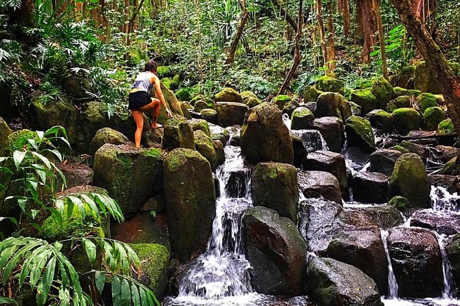 Wailua River & Waterfalls Kayak Tour: Expert-Guided Adventure - How challenging is it, really: kayaking and hiking as a two-part workout