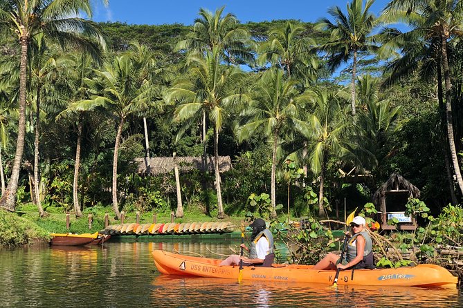 Wailua River & Waterfalls Kayak Tour: Expert-Guided Adventure - Price and value: what $145.86 buys you on Kauai