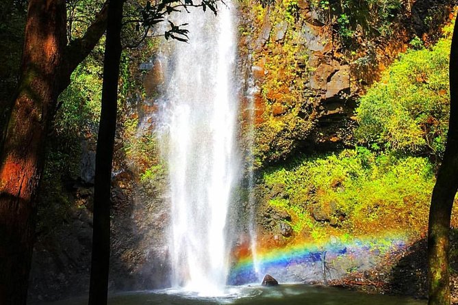 Wailua River & Waterfalls Kayak Tour: Expert-Guided Adventure - Morning timing and weather: the two levers you should not ignore