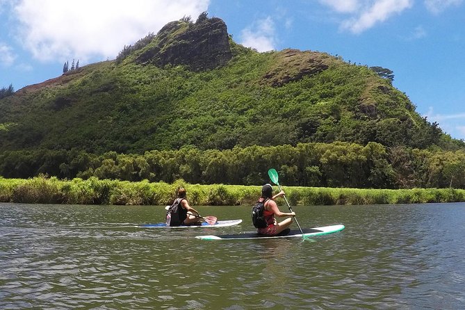 Wailua River & Waterfalls Kayak Tour: Expert-Guided Adventure - Meeting point: where your day starts in Kapaʻa