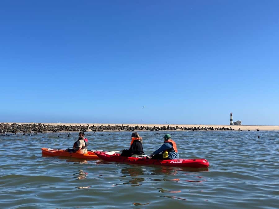 Walvis Bay: Kayaking and Sandwich Harbour Full-Day Tour - From lagoon flamingos to seal colonies at Pelican Point