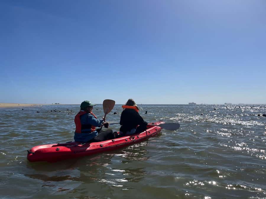 Walvis Bay: Kayaking and Sandwich Harbour Full-Day Tour - The old pier moment: why this is the highlight, and what to expect