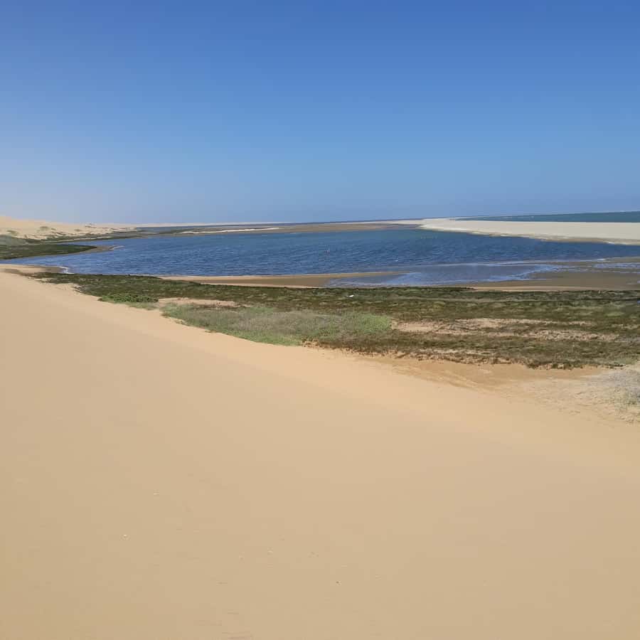 Walvis Bay: Kayaking and Sandwich Harbour Full-Day Tour - Who should book it, and who should skip it