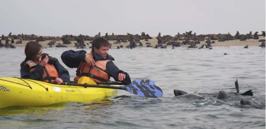 Walvis Bay: Pelican Point Kayaking Tour - Key Pelican Point Kayaking Takeaways